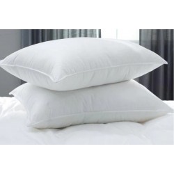 Coussin d’oreiller standard (la paire)
