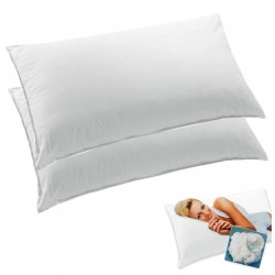 Coussin d’oreiller standard (la paire)