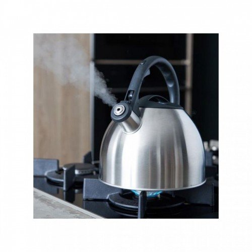 Bonne Théière en verre avec infuseur en acier inoxydable et couvercle, verre Pyrex Teapot