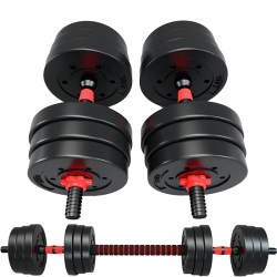 Kit d’haltères Courts Longs 30kg, Set 2en1 avec 8 Plaques de poids, Avec barre extension